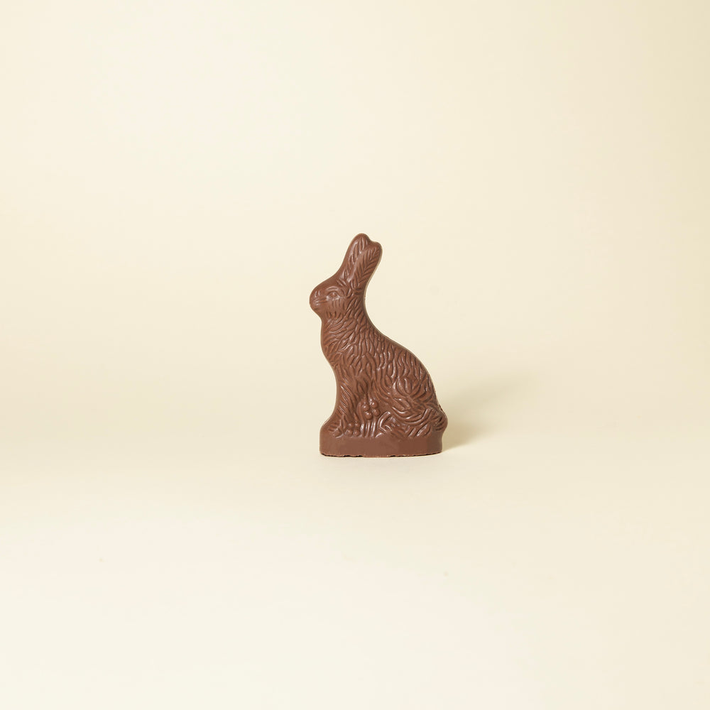 Small Milk Chocolate Bunny