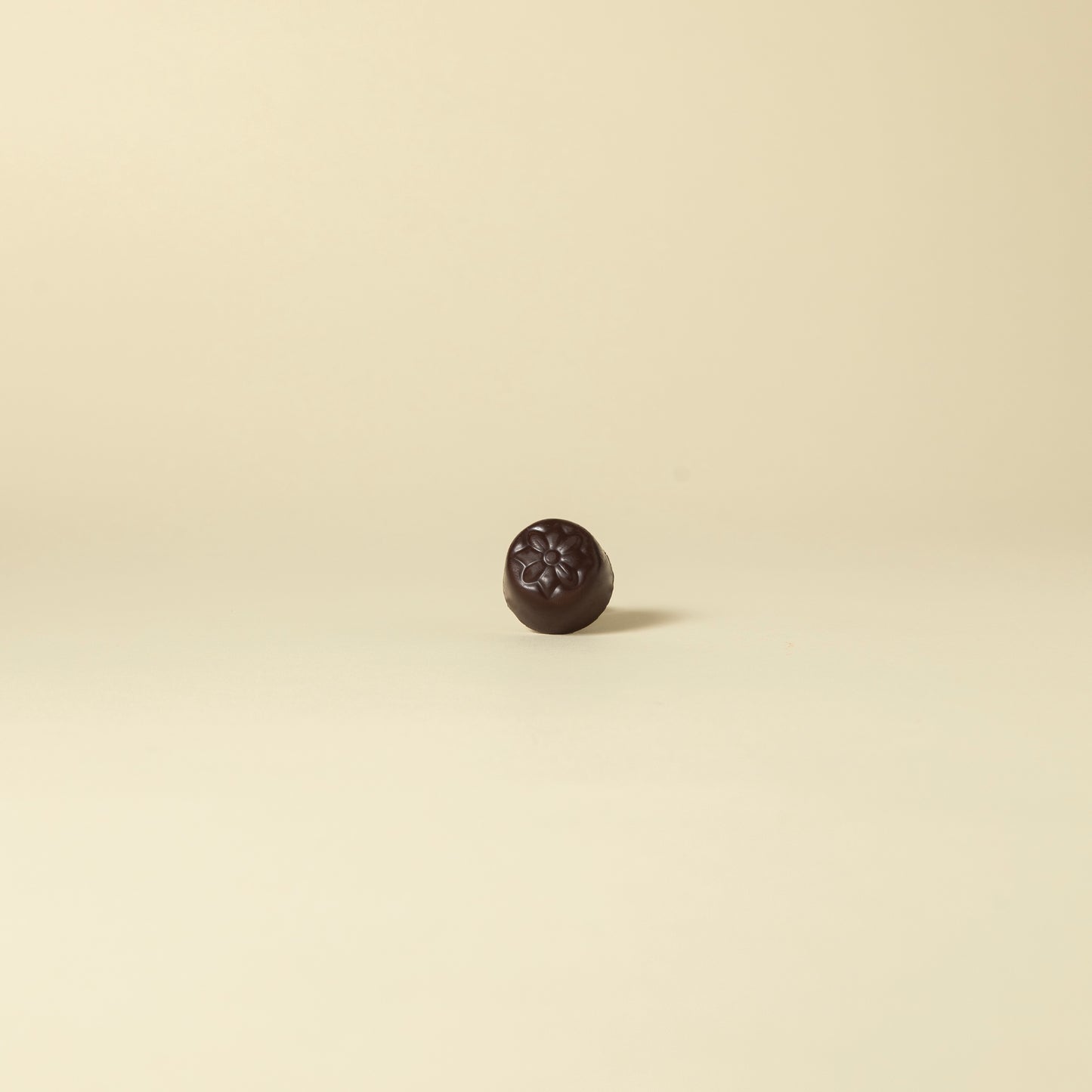 Dark Chocolate Domes