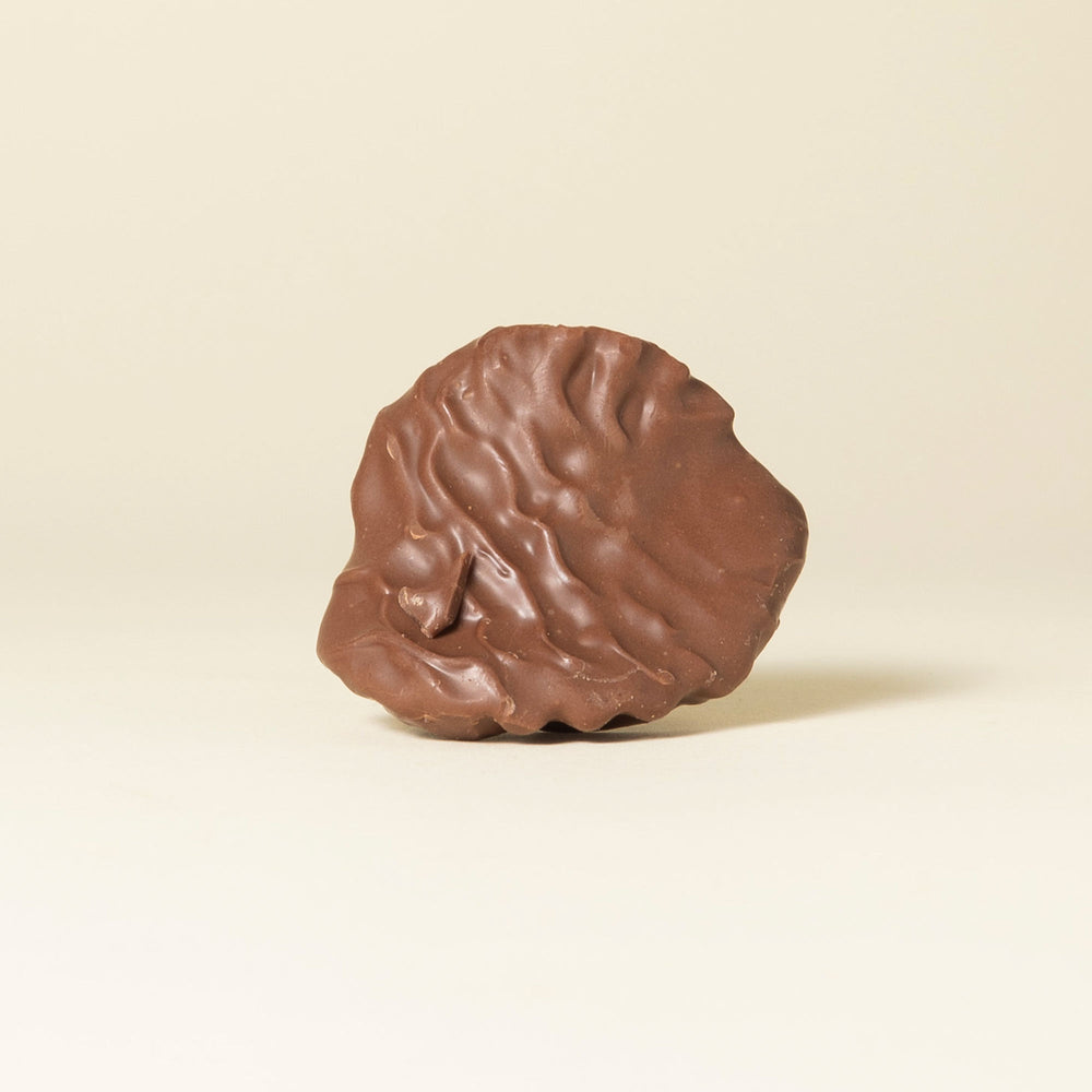 Chocolate Covered Potato Chips - Milk