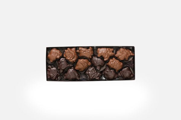 CARAMEL PECANS - MILK & DARK – Esther Price Candies